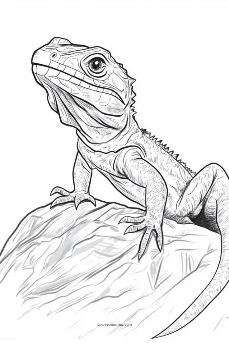 Dibujo para colorear