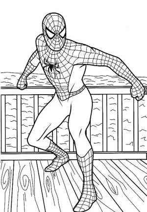 18 Spiderman