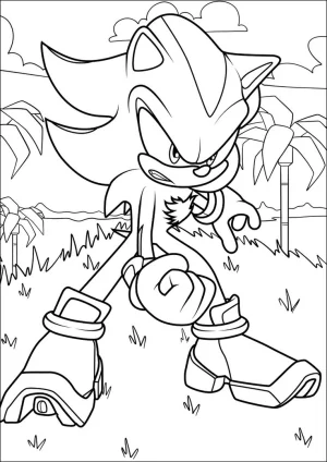 13 sonic