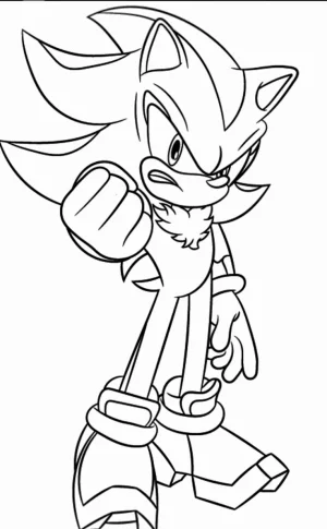 14 sonic