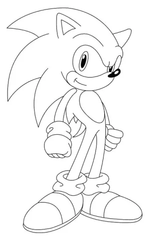 19 sonic