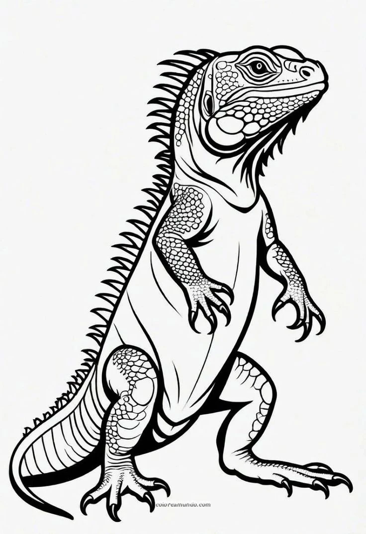 Dibujo para colorear: dibujo de una lagartija parada en dos pies como un dinosaurio