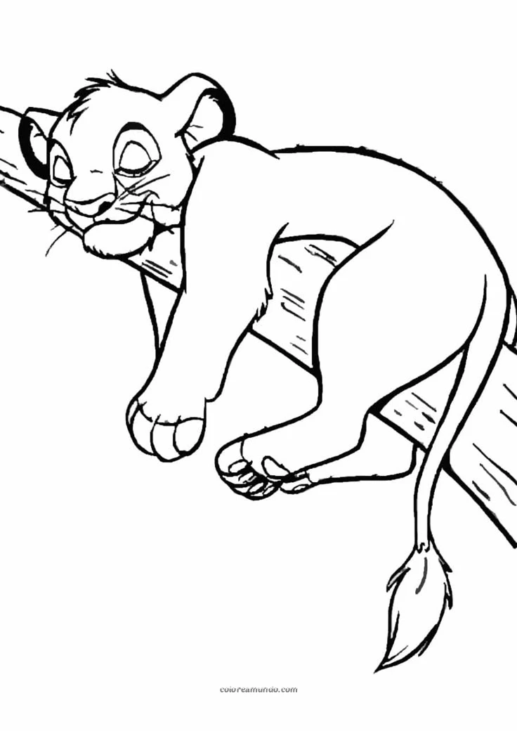 Dibujo para colorear: sima descanzando en una rama