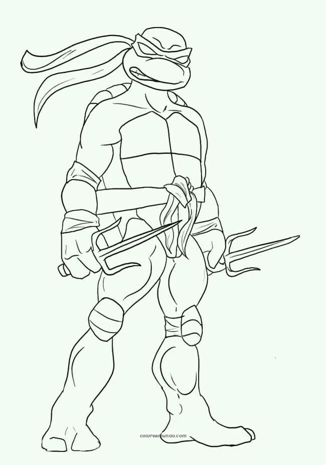 Dibujo para colorear: dibujo de tortuga ninja